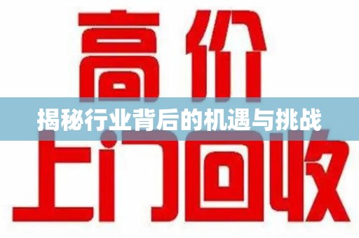 襄阳揭秘行业背后的机遇与挑战