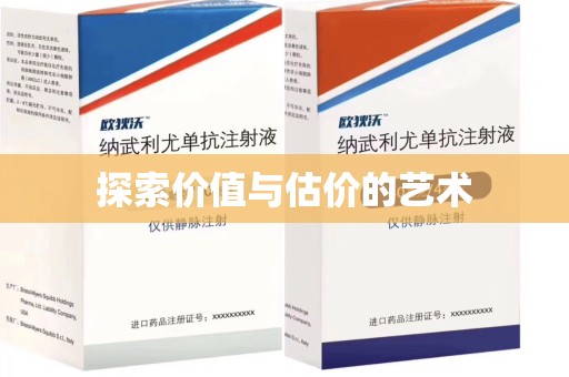 襄阳探索价值与估价的艺术