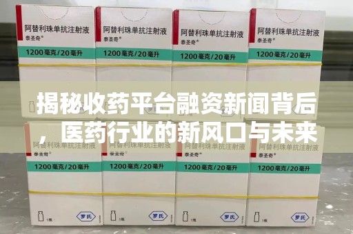 襄阳揭秘收药平台融资新闻背后，医药行业的新风口与未来趋势