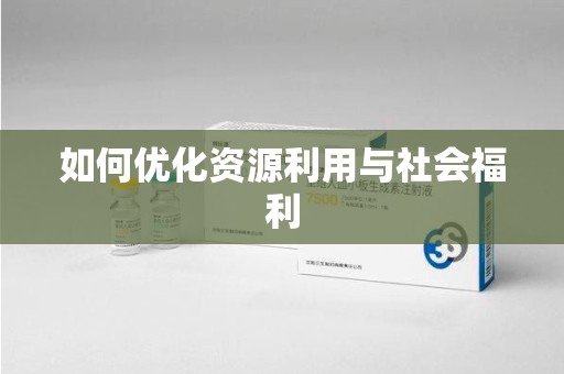 襄阳如何优化资源利用与社会福利