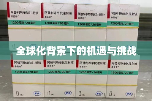 襄阳全球化背景下的机遇与挑战