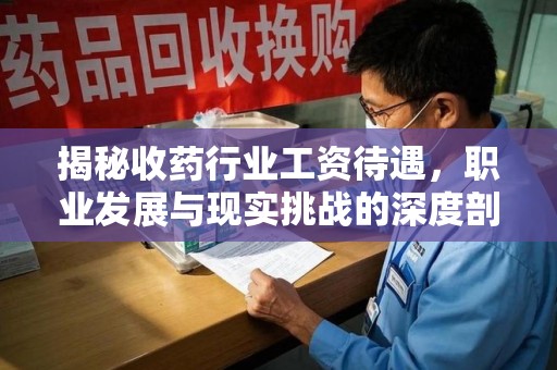 襄阳揭秘收药行业工资待遇，职业发展与现实挑战的深度剖析