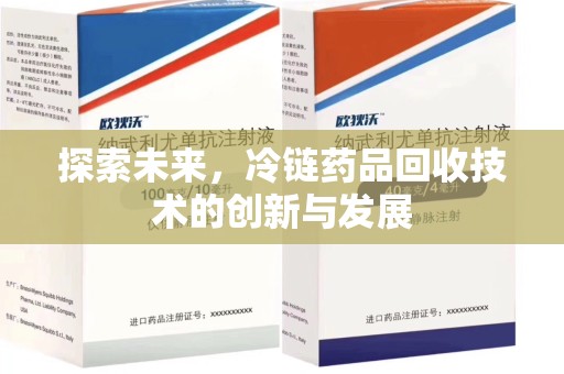 襄阳探索未来，冷链药品回收技术的创新与发展