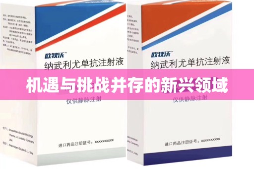 襄阳机遇与挑战并存的新兴领域