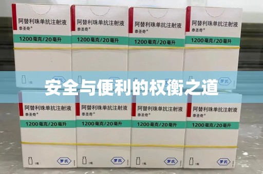 襄阳安全与便利的权衡之道