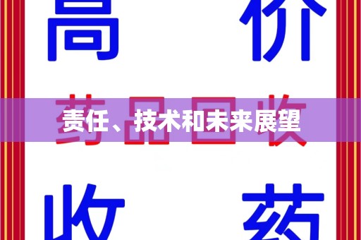 襄阳责任、技术和未来展望
