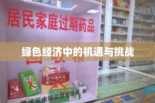 襄阳绿色经济中的机遇与挑战