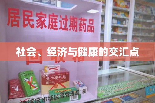 襄阳社会、经济与健康的交汇点