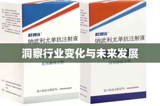 襄阳洞察行业变化与未来发展