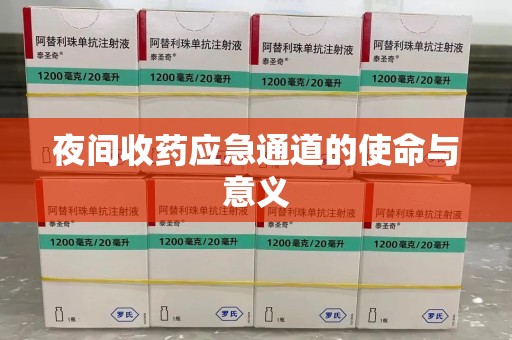 襄阳夜间收药应急通道的使命与意义