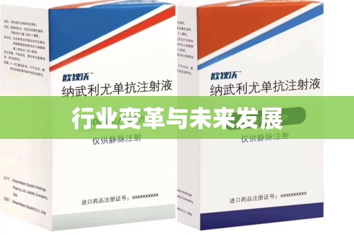 襄阳行业变革与未来发展