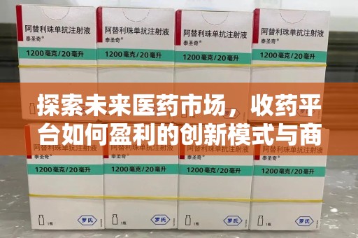 襄阳探索未来医药市场，收药平台如何盈利的创新模式与商业前景