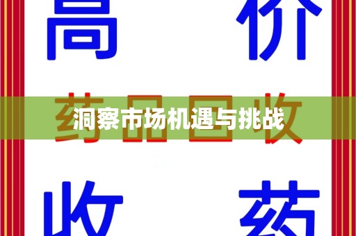 襄阳洞察市场机遇与挑战