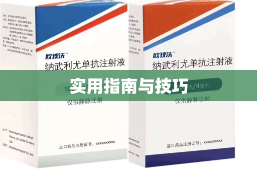 襄阳实用指南与技巧