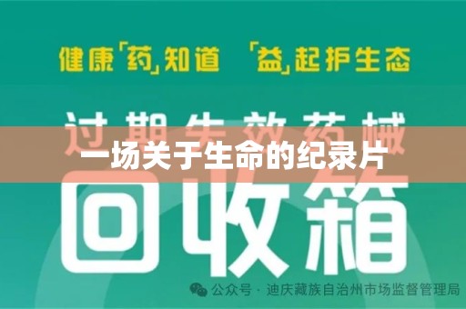 襄阳一场关于生命的纪录片