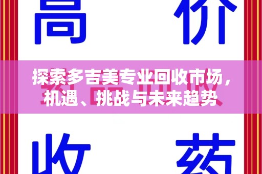 襄阳探索多吉美专业回收市场，机遇、挑战与未来趋势