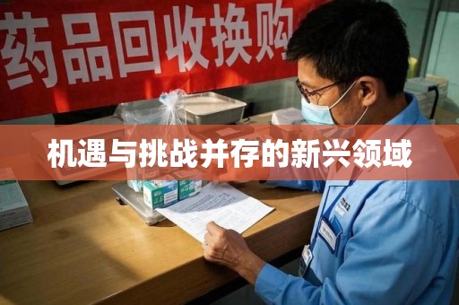 襄阳机遇与挑战并存的新兴领域