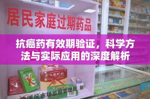 襄阳抗癌药有效期验证，科学方法与实际应用的深度解析