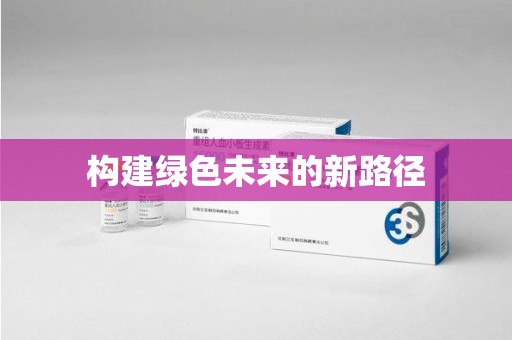 襄阳构建绿色未来的新路径