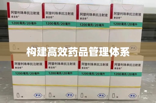 襄阳构建高效药品管理体系