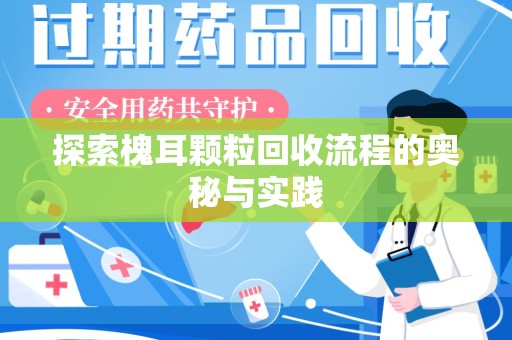 襄阳探索槐耳颗粒回收流程的奥秘与实践
