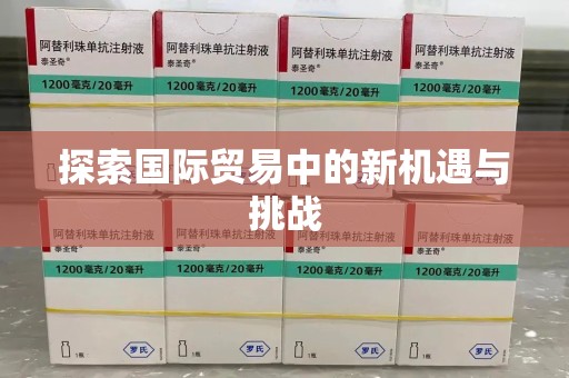襄阳探索国际贸易中的新机遇与挑战