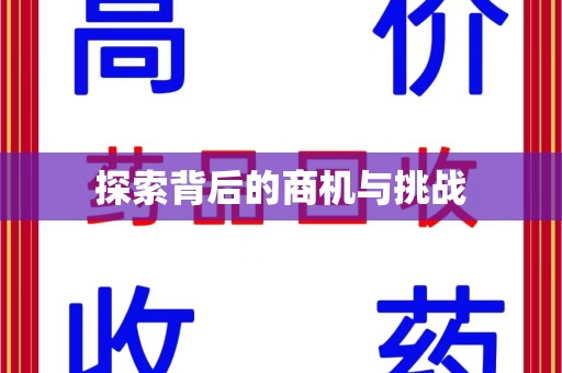 襄阳探索背后的商机与挑战