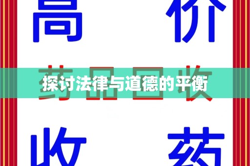 襄阳探讨法律与道德的平衡