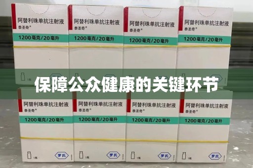 襄阳保障公众健康的关键环节